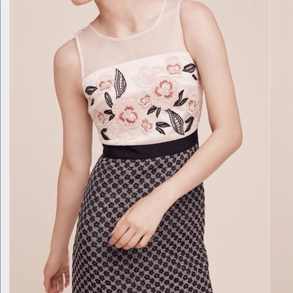 Anthropologie Dress